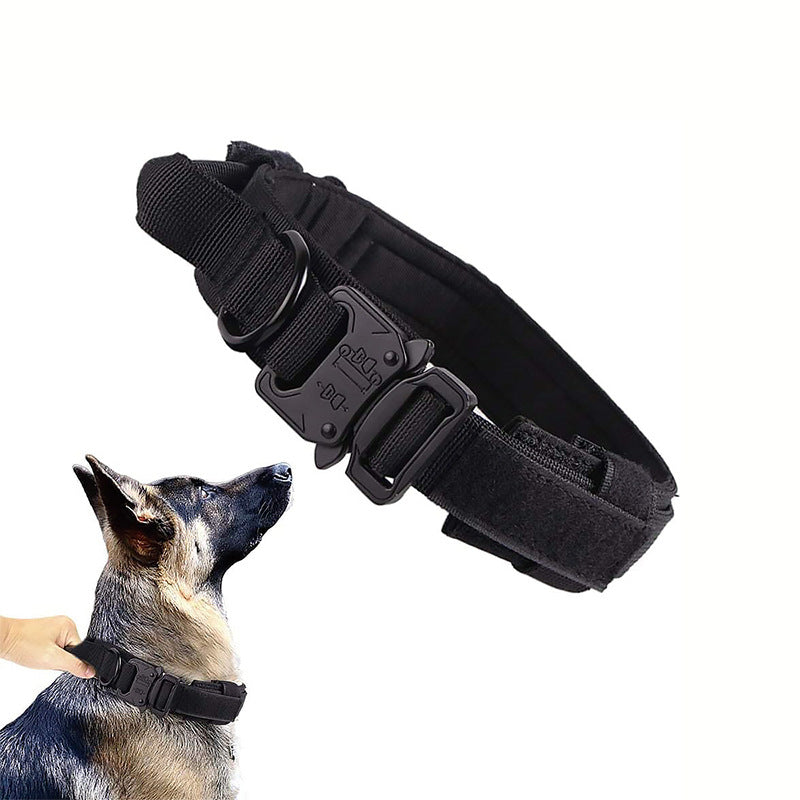 Collar de nylon ajustable para perro