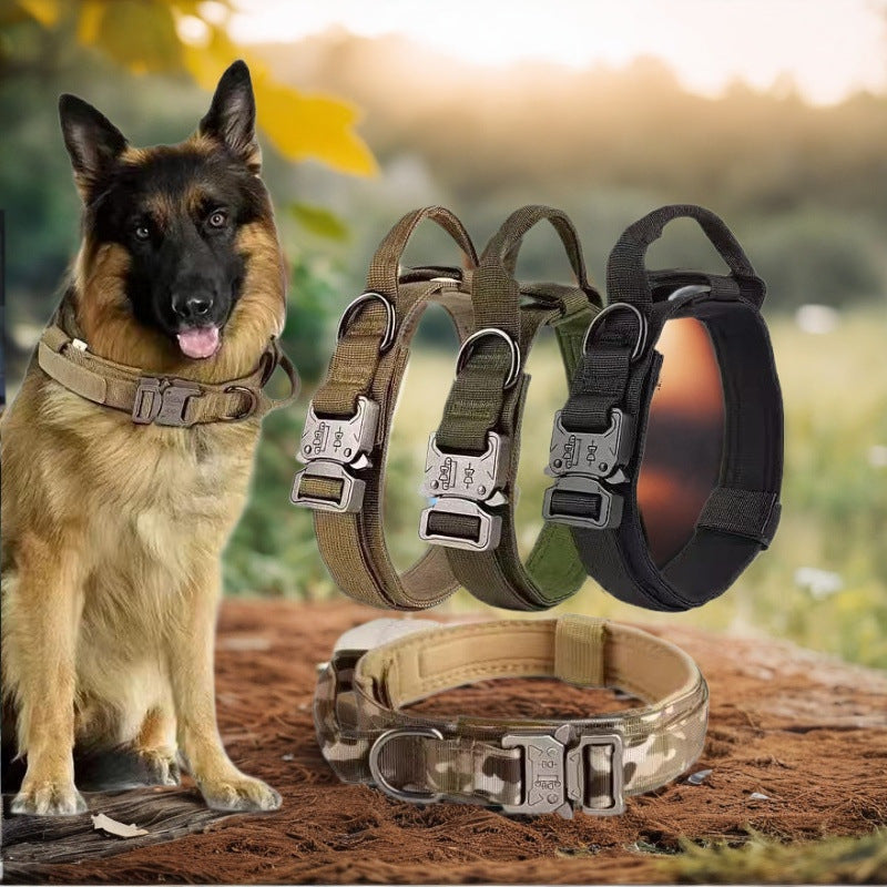 Collar de nylon ajustable para perro