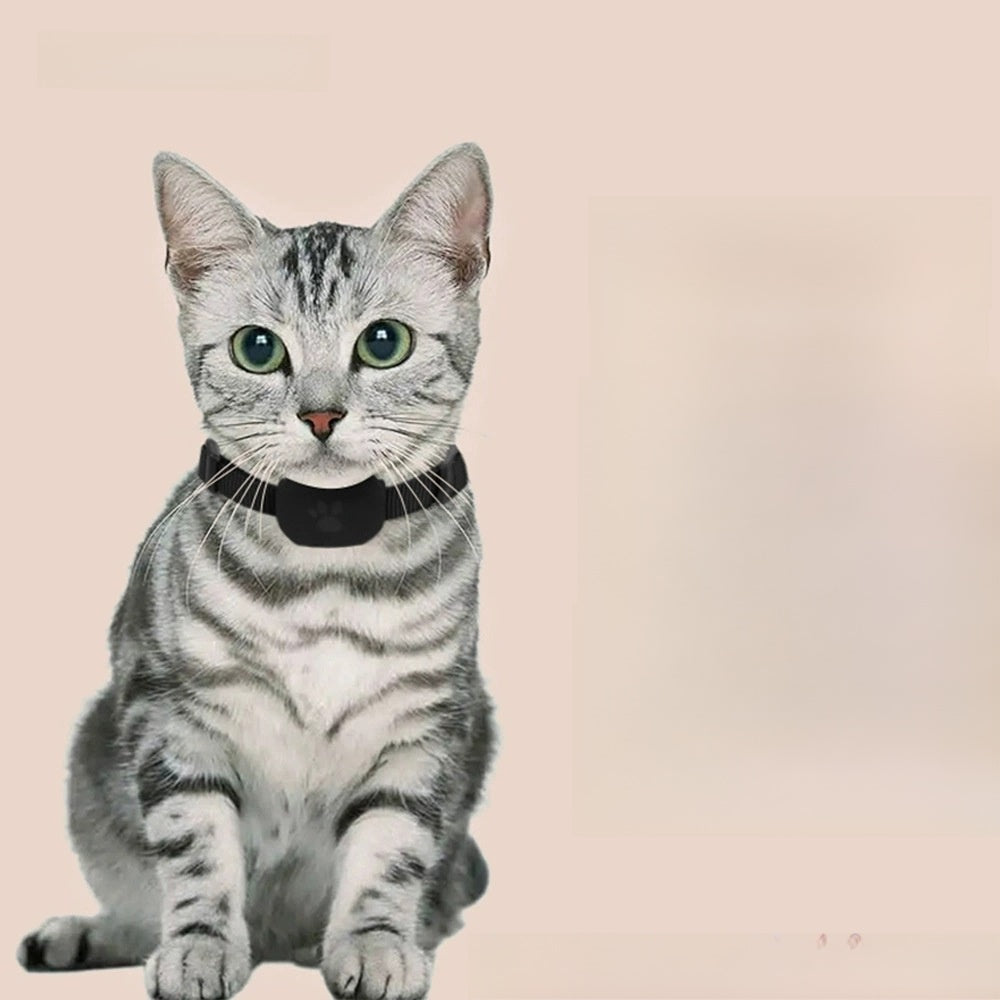 Collar localizador para mascotas MFi Certified Bluetooth