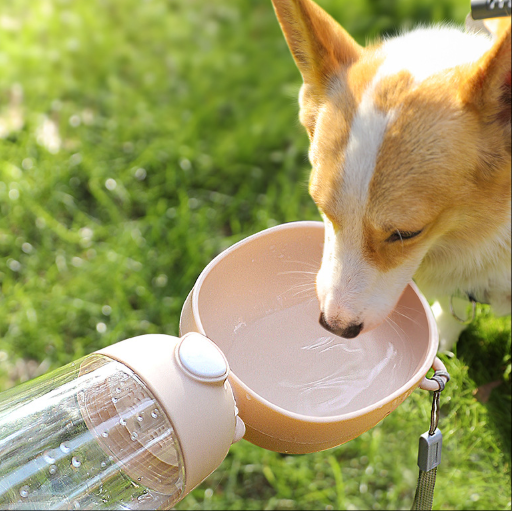 Botella de Agua portatil para perros con almacenaje de pienso